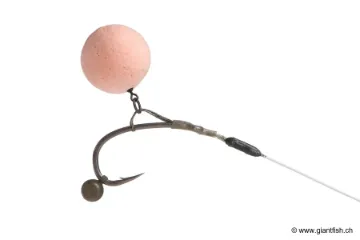 Plomb FOX Edges Shot on The Hook