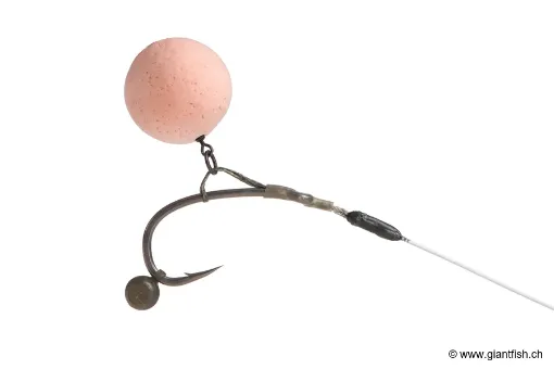 Plomb FOX Edges Shot on The Hook