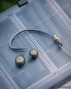 Plomb FOX Edges Shot on The Hook