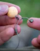 Image de Plomb FOX Edges Shot on The Hook