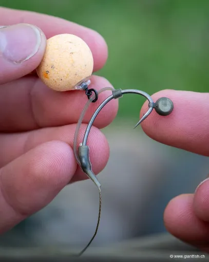 Plomb FOX Edges Shot on The Hook