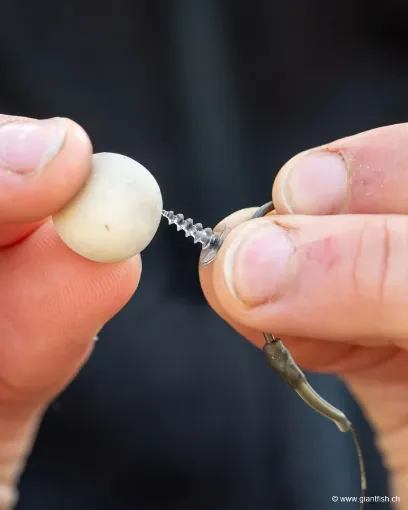 Accroche Appâts FOX Edges Bait Screw