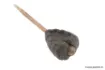 Picture of Insert for Inline Lead FOX Edges Tadpole Inline Insert Camo