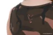 Picture of FOX Women's Vest