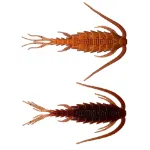 #B19 - Spring Craw