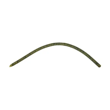 REINS Swamp Skinny