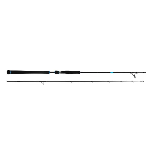 Canne Spinning FAVORITE Saltwater X1