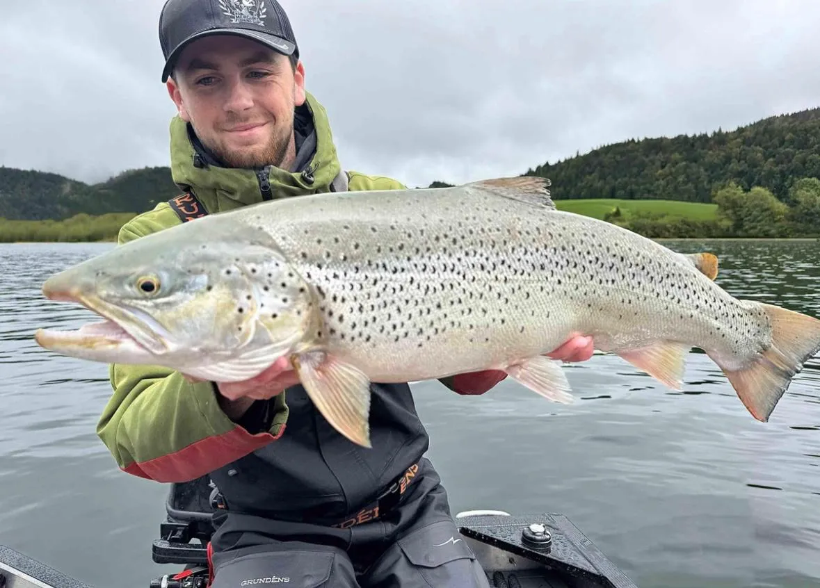 Truite Lacustre du Léman