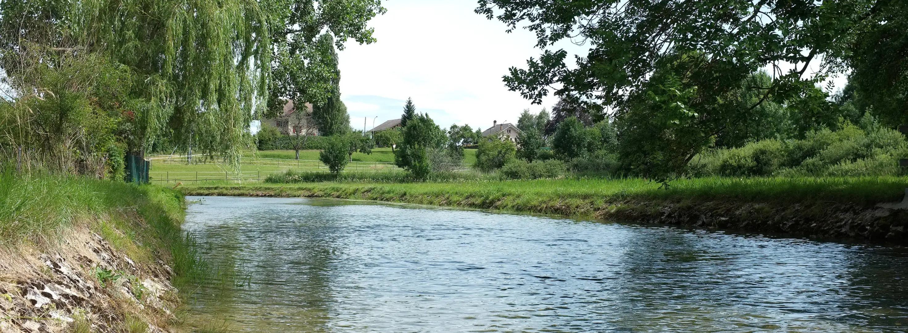 River fishing on the Venoge in the canton of Vaud